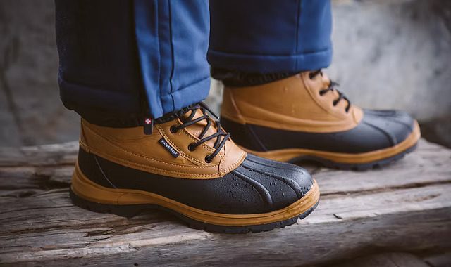 Vertigo Alpes – co to za firma?