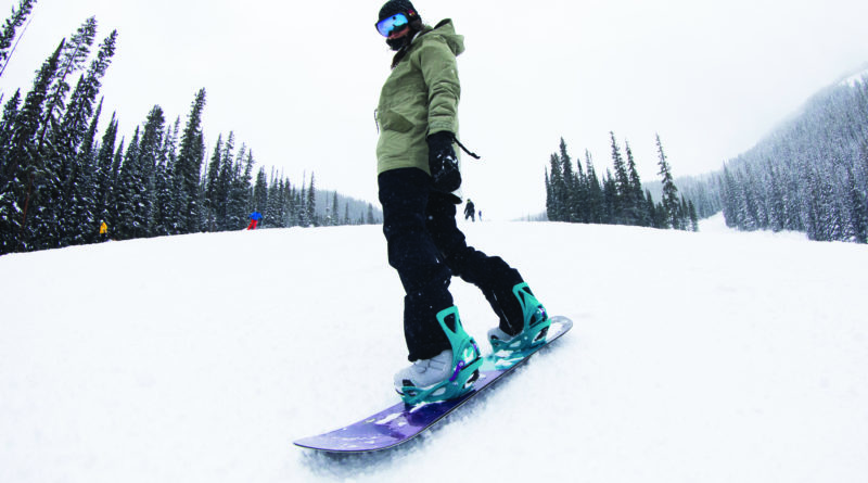 Deska Do Snowboardu Cena