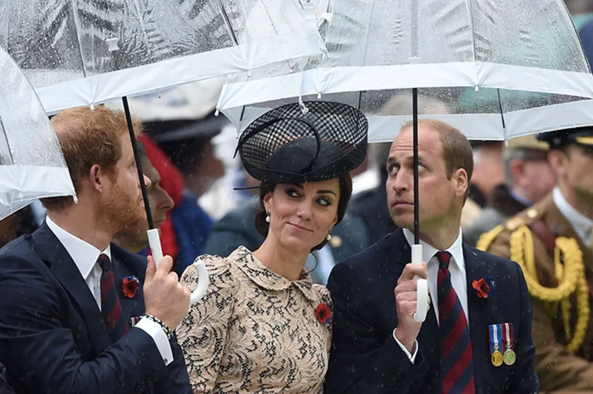 Parasole rodziny królewskiej – jaka to marka i dlaczego