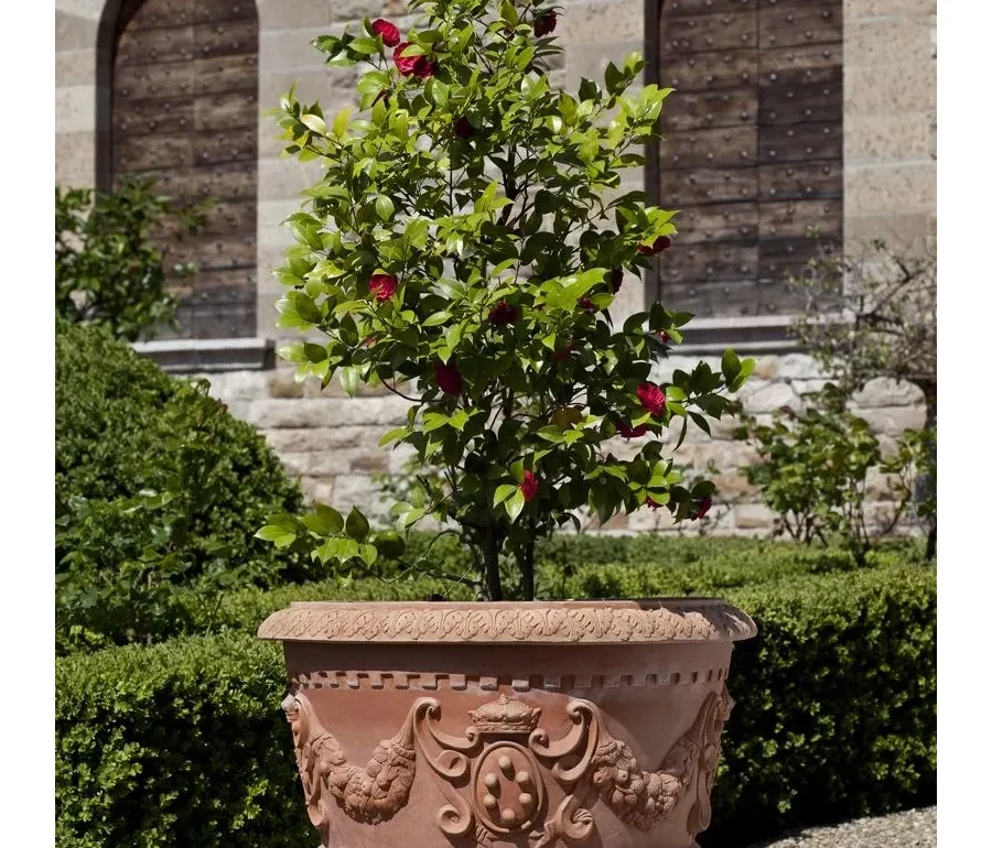 Zalety oryginalnych donic z terakoty – zdrowie roślin i styl