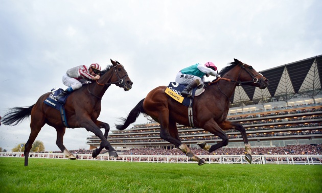 Frankel Wins From Cirrus Des Aigles 20 10 12 Pic Bill Selwyn