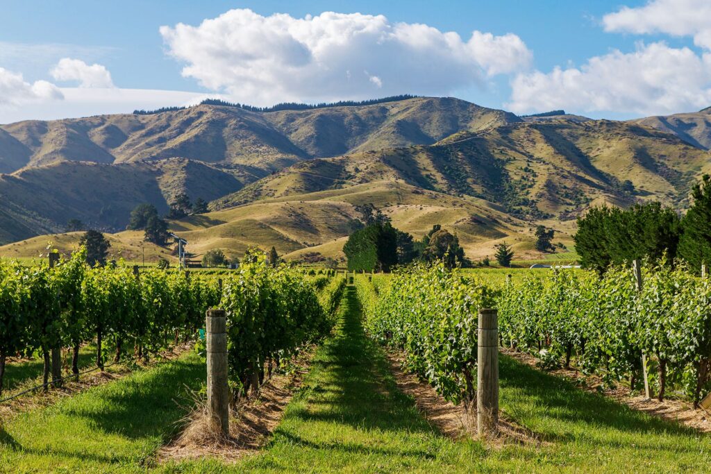 Marlborough Region Winiarski
