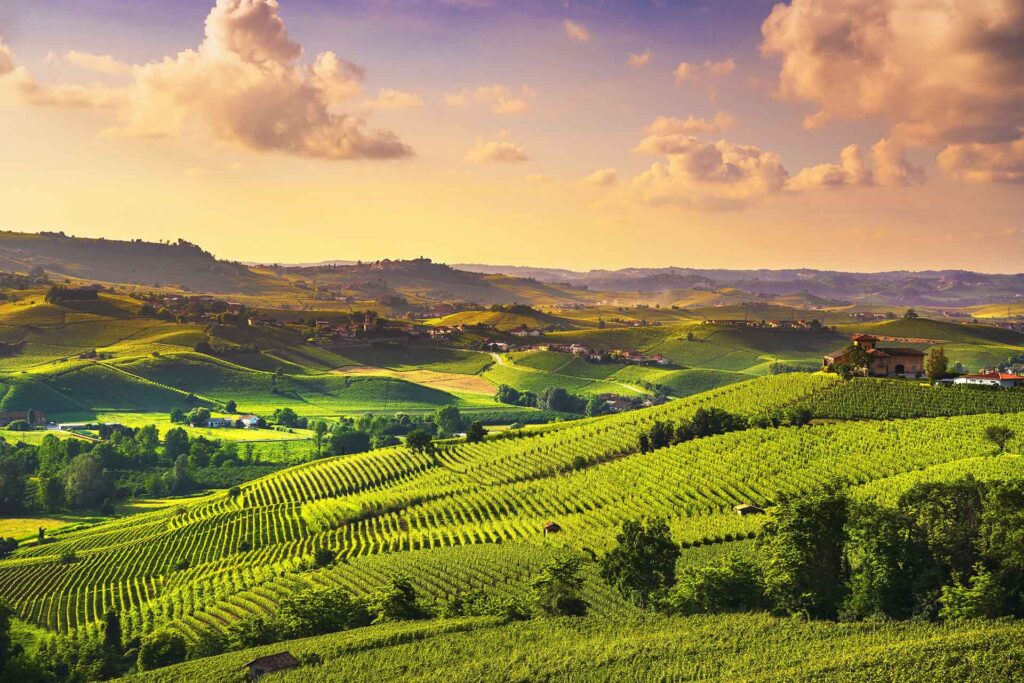 Langhe Vineyards Sunset Panorama, Barolo, Piedmont, Italy Europe